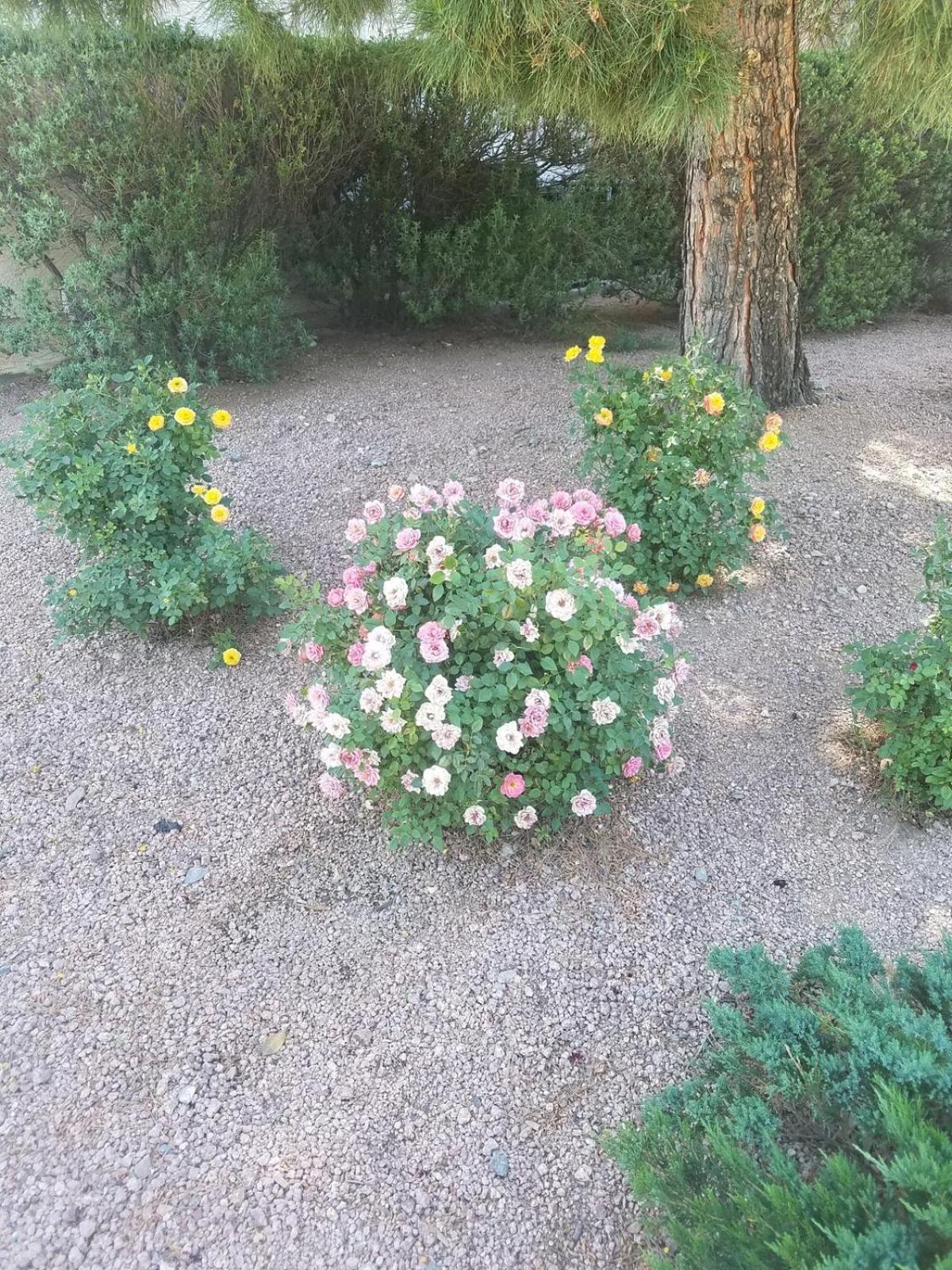 Days By Wyndham Camp Arizona 2*