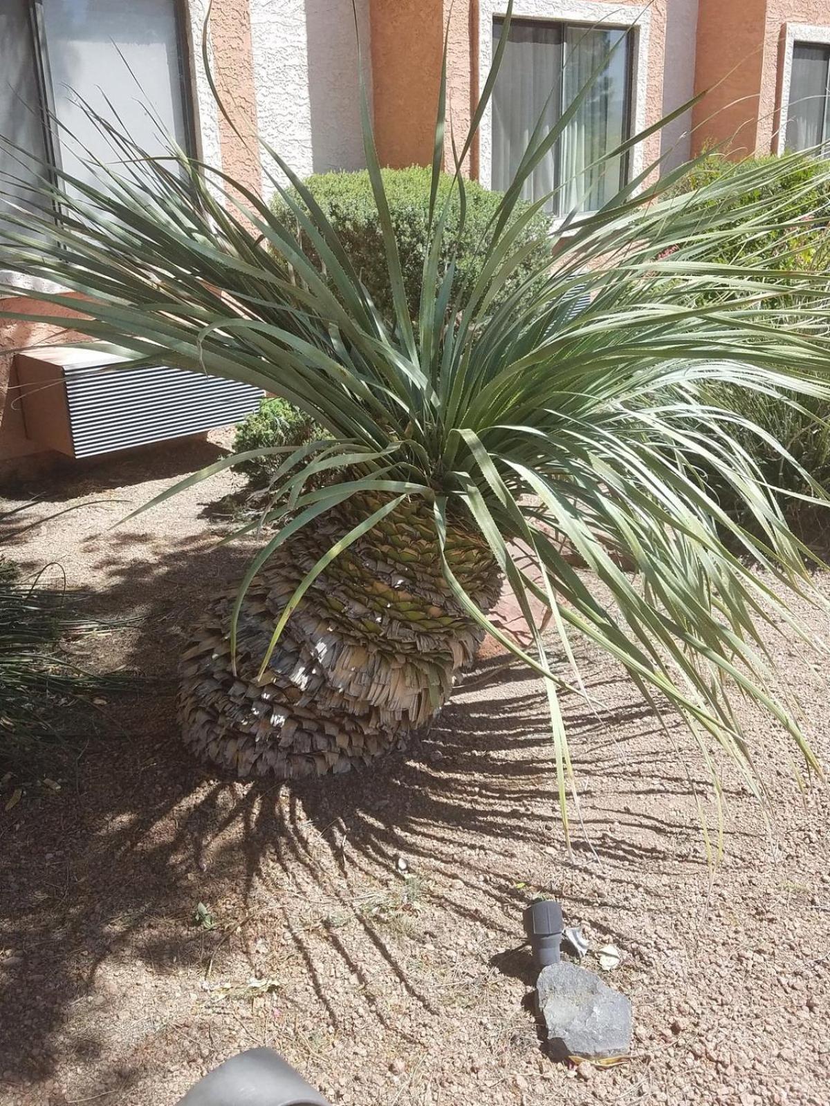 Days By Wyndham Camp Arizona