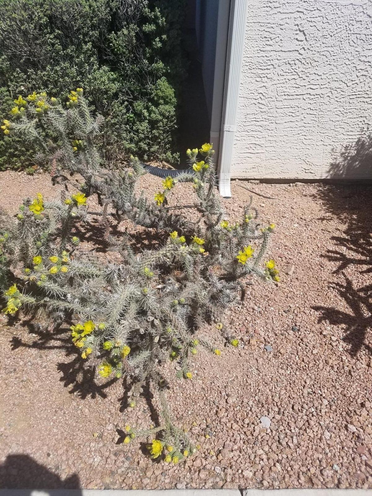 Days By Wyndham Camp Arizona
