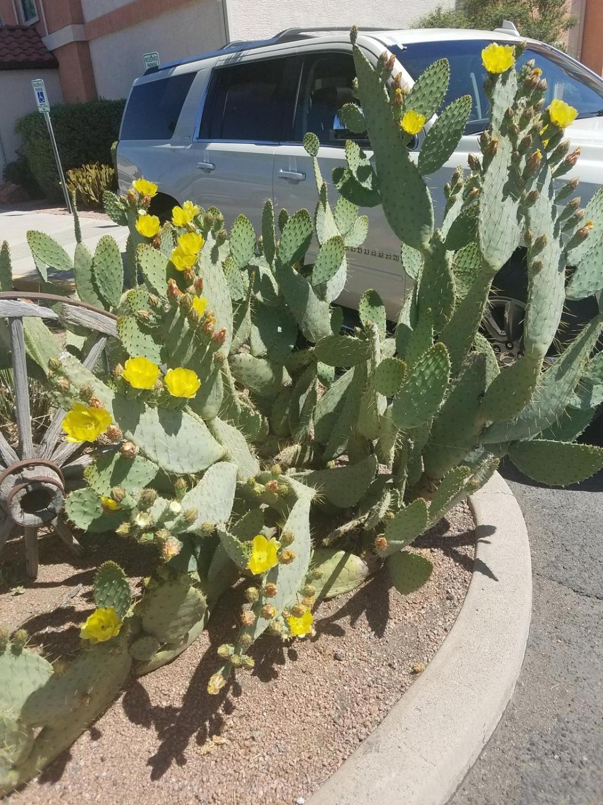 Hotel Days By Wyndham Camp Arizona Camp Verde
